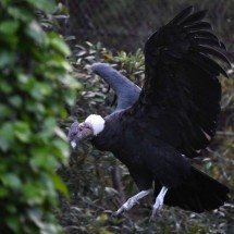 Jornada para a liberdade - AFP