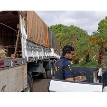 PRF apreende quase três toneladas de maconha em carreta bitrem - PRF/DivulgaÃ§Ã£o