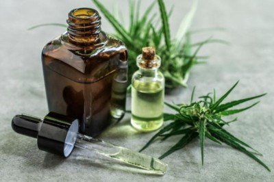 Instituto Maple busca facilitar tratamentos com cannabis -  (crédito: DINO)