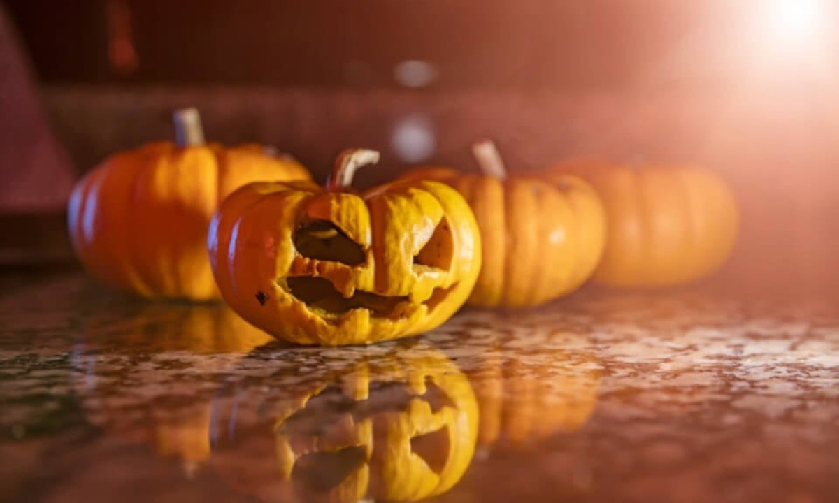 Halloween: como assim as bruxas estão à solta? -  (crédito: Wemystic)