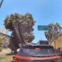 Bandidos aterrorizam motoristas em arrastão à luz do dia no Rio de Janeiro - Reprodução/redes sociais