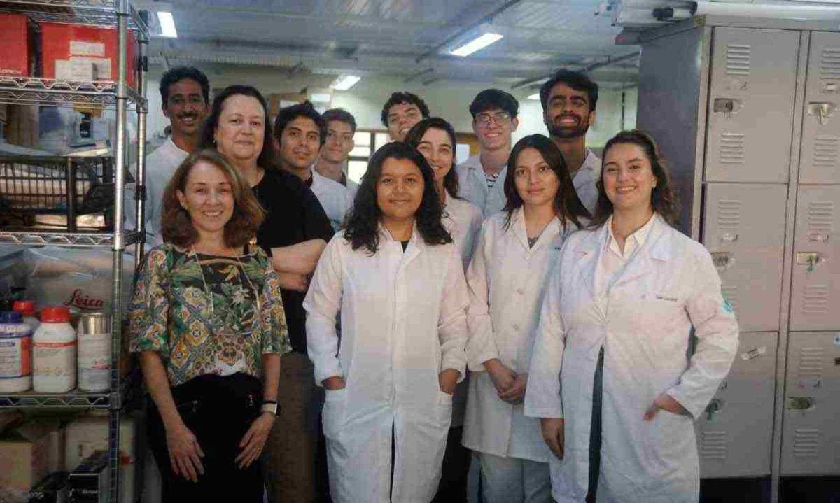 Luciana Andrade e Erika Jorge, com equipe de alunos do Instituto de Ciências Biológicas da UFMG, coordenam as pesquisas -  (crédito: Alexandre Guzanshe/EM/D.A. Press)