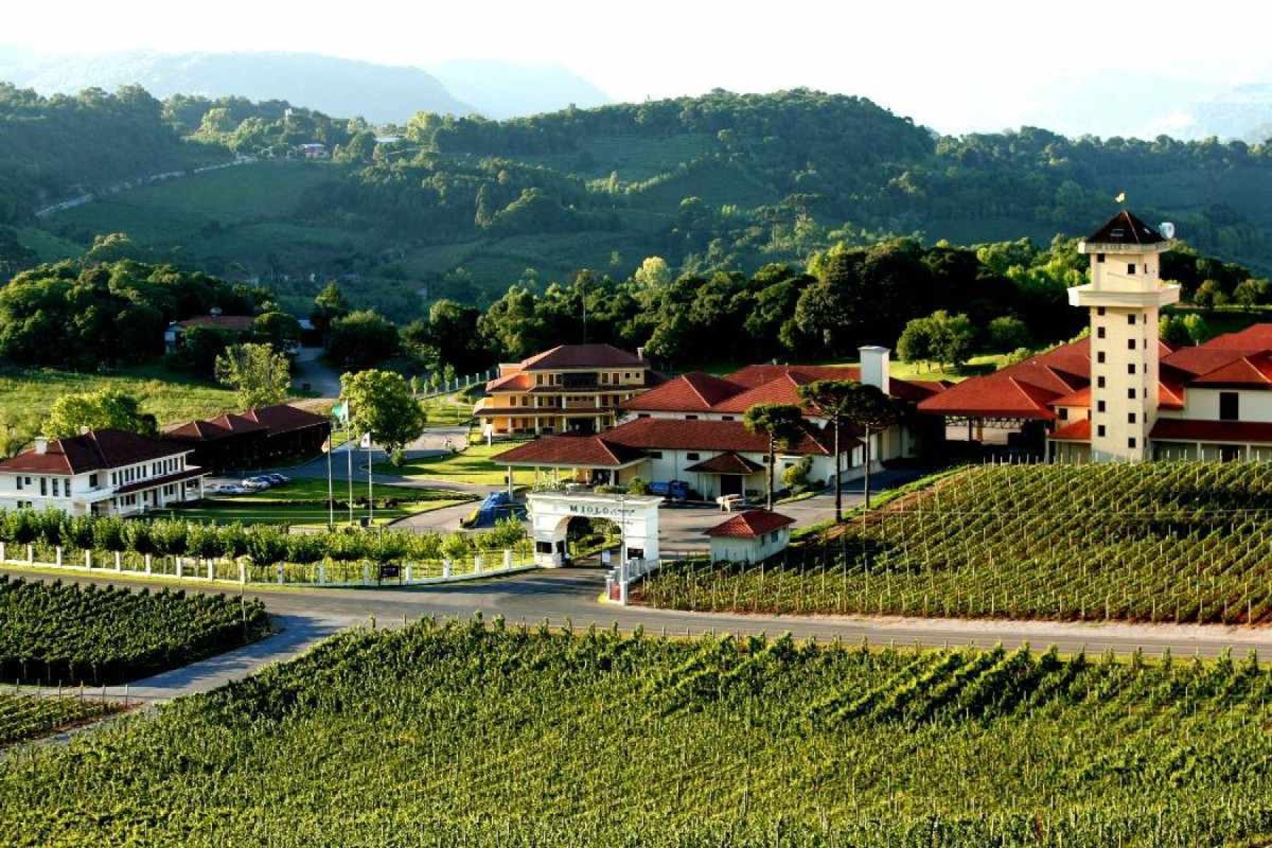 Localizada em Beto Gonçalves, a Vinícola Miolo é referência pela historia e qualidade dos vinhos no Vales dos Vinhedos