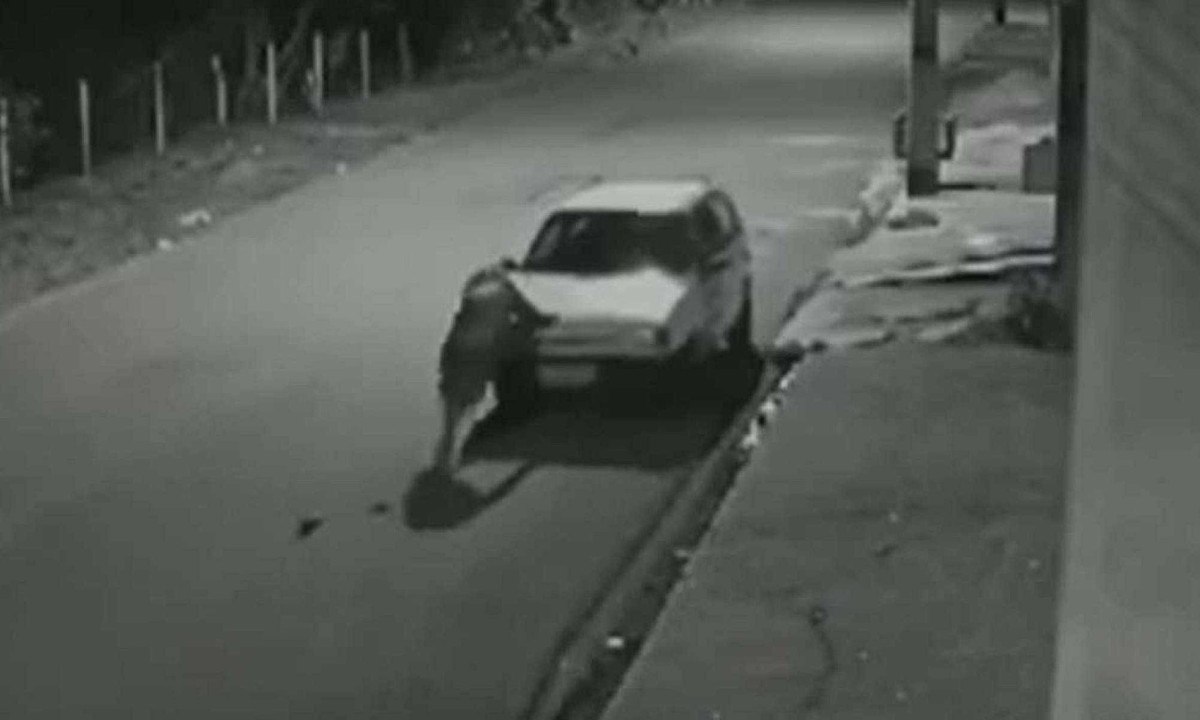 Ladr&otilde;es furtam um Uno no Sul de Minas, mas devolvem o carro momentos depois -  (crédito: TV Alterosa/Reprodu&ccedil;&atilde;o)