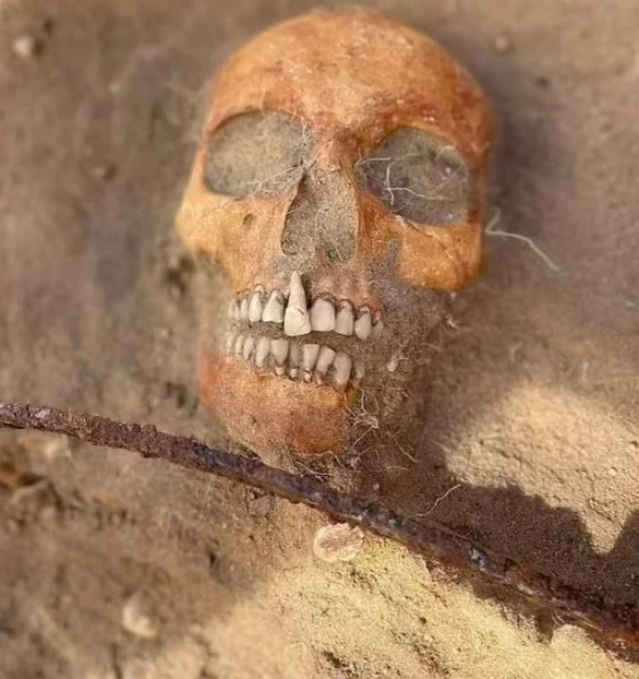 Arqueólogos encontram 