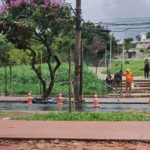 Motociclista sem capacete e sem habilitação bate em poste e morre em BH - Imagem cedida ao Jornal Estado de Minas/Portal Uai