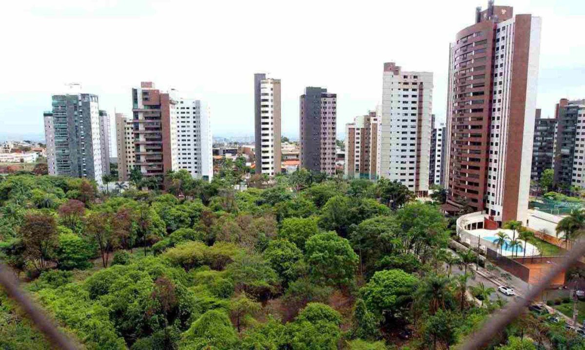  Área verde - vista da mata que forma a chamada lagoa seca, de 25.495m² -  (crédito:  Jair Amaral/EM/D.A Press)