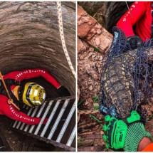 Bombeiros são chamados para resgatar jacaré e acham lagarto de grande porte - CBMMG