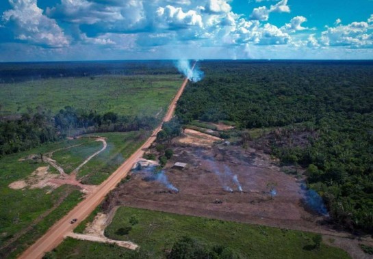 Reprodução/INFO AMAZONIA