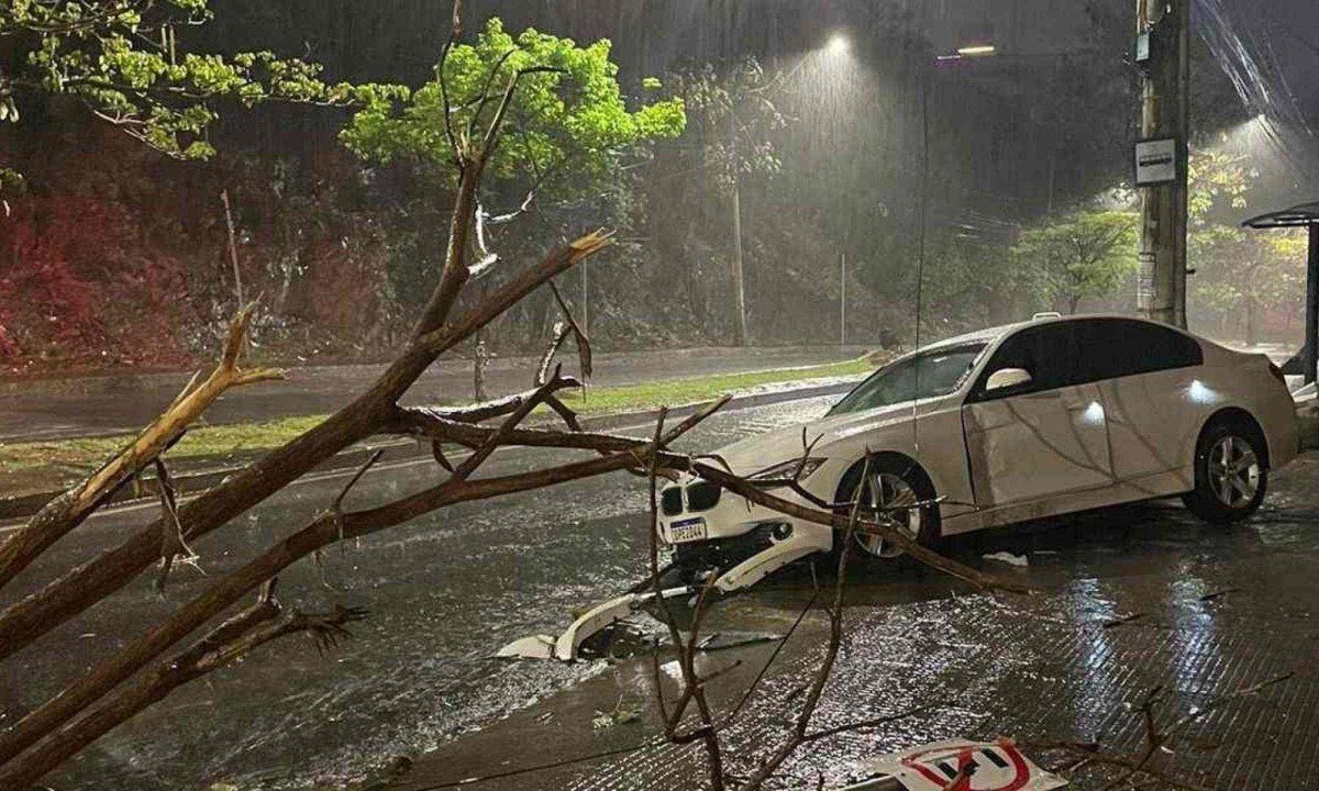 Homem tentou fugir da boate enquanto PM pegava o depoimento da vítima, mas bateu carro em uma árvore -  (crédito: PMMG/Divulgação)