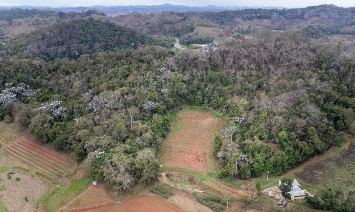 O banco de germoplasma será construído no Vale da Agronomia da UFV -  (crédito: UFV/Divulgação)