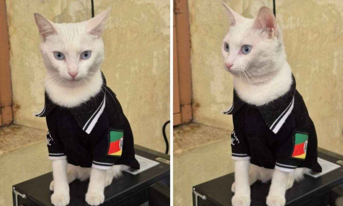 Thai ganhou uma farda personalizada da Polícia Civil -  (crédito: Reprodução / Polícia Civil do RS)