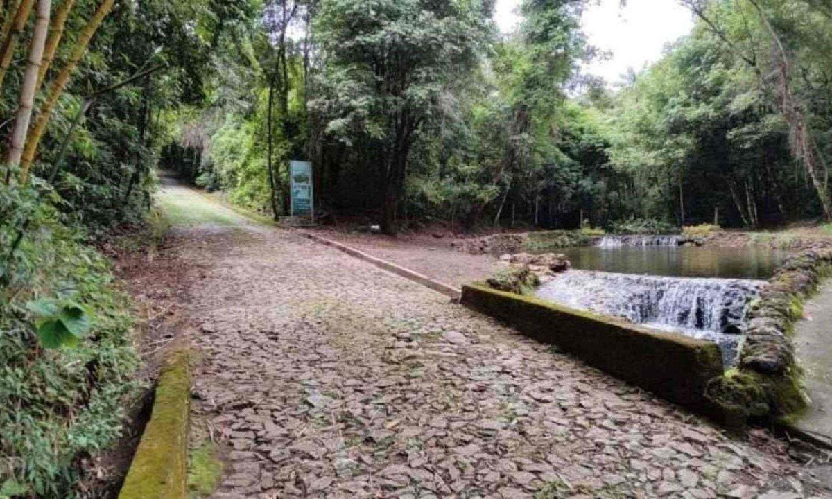 Parque das Mangabeiras reabre trilha e Lago dos Sonhos
 -  (crédito: Divulgação/PBH)