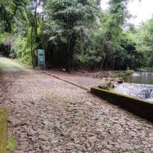 BH: Parque das Mangabeiras reabre Lago dos Sonhos e trilha nesta terça - Divulgação/PBH