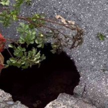 Cratera no asfalto preocupa moradores de bairro de BH - Reprodução/Redes sociais