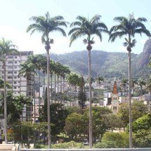 MG: Governo investiga possível caso de "vaca louca" no estado -  Marcos Vieira /EM/DA. Press