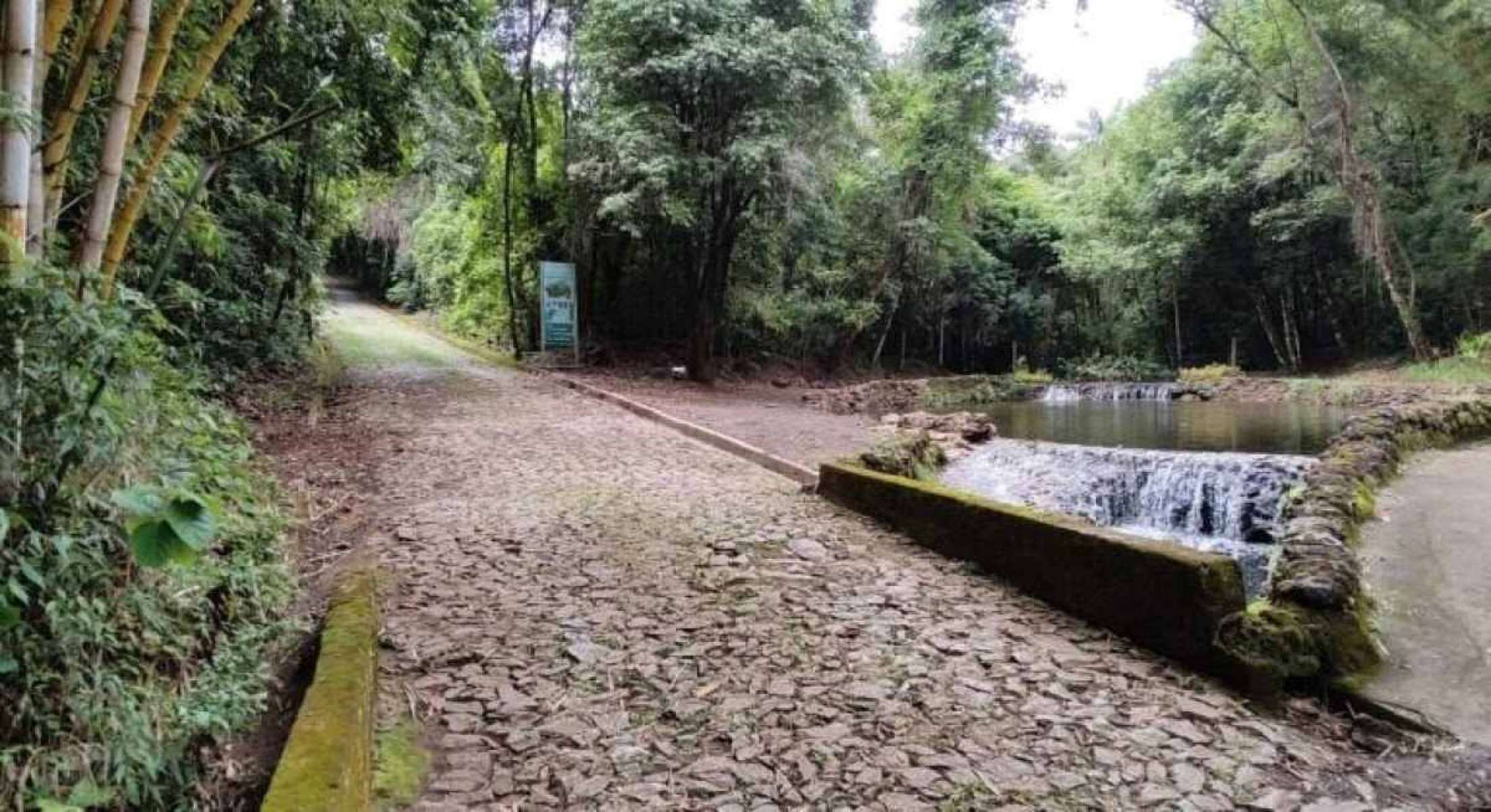 BH: Parque das Mangabeiras reabre Lago dos Sonhos e trilha nesta terça