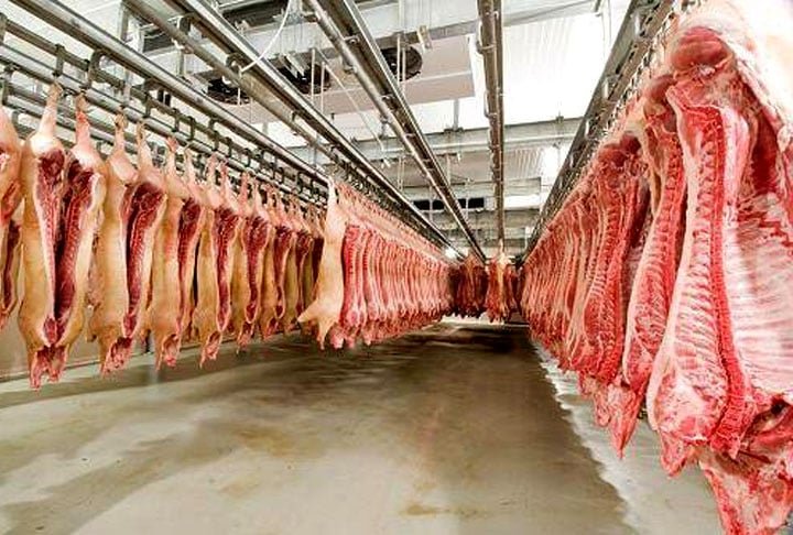 A doença é grave também para humanos, pois uma variante chamada Doença de Creutzfeldt-Jakob (vDCJ) pode surgir em pessoas que consomem carne contaminada. 