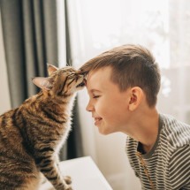 Os gatos fazem bem para nossa saúde? - Getty Images