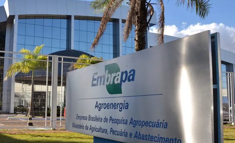 Essa informação foi dada pela Empresa Brasileira de Pesquisa Agropecuária (Embrapa), uma instituição estatal ligada ao Ministério da Agricultura.