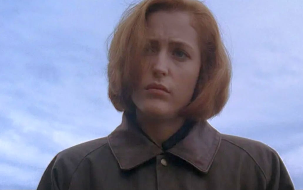 Na série, os agentes especiais do FBI, Fox Mulder (David Duchovny) e Dana Scully (Gillian Anderson), investigam os Arquivos-x: casos não solucionados envolvendo fenômenos paranormais. 