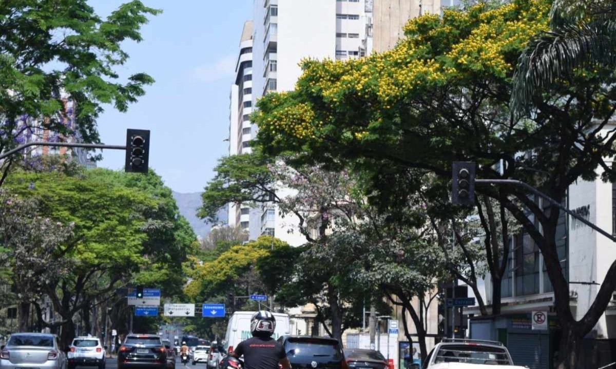 Oito pontos de ônibus terão reorganização, incluindo um na Avenida Afonso Pena -  (crédito: Gladyston Rodrigues/EM/D.A. Press.)