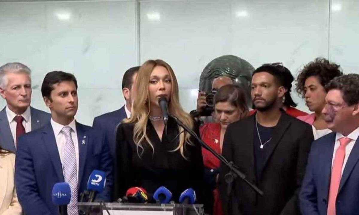 Deputada federal Erika Hilton recebeu s para protocolar PEC contra a escala 6x1 -  (crédito: Reprodução/Youtube)