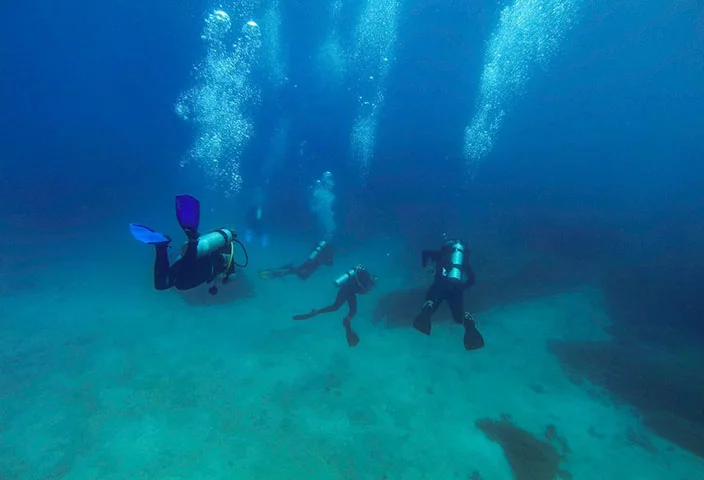 Arquipélago de Alcatrazes (SP) - Nesse conjunto de ilhas, a principal atração é a biodiversidade. Além de tartarugas, golfinhos e baleias, destacam-se mais de 10 mil aves marinhas. Por isso, o passeio, geralmente, não se restringe ao mergulho. Inclui também a observação dos pássaros que habitam o arquipélago.  