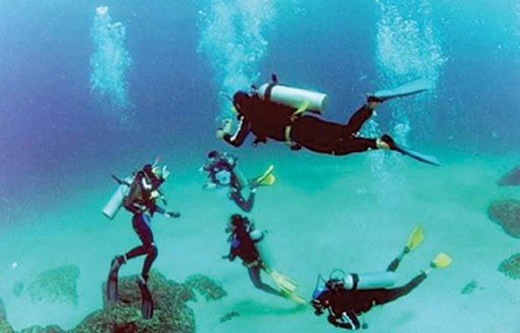 Arraial do Cabo (RJ) - O mar de águas claras permite mergulhos de snorkel ou cilindro com visualização de várias espécies, inclusive animais de passagem em certas épocas do ano, como golfinhos, orcas e baleias jubarte. Entre setembro e fevereiro, a água é fria (15ºC a 22ºC) por causa do movimento de águas profundas da região. 