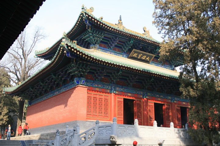 Aos 16 anos, Yen retornou à China para treinar no Templo Shaolin, onde aprimorou suas habilidades em Wushu.