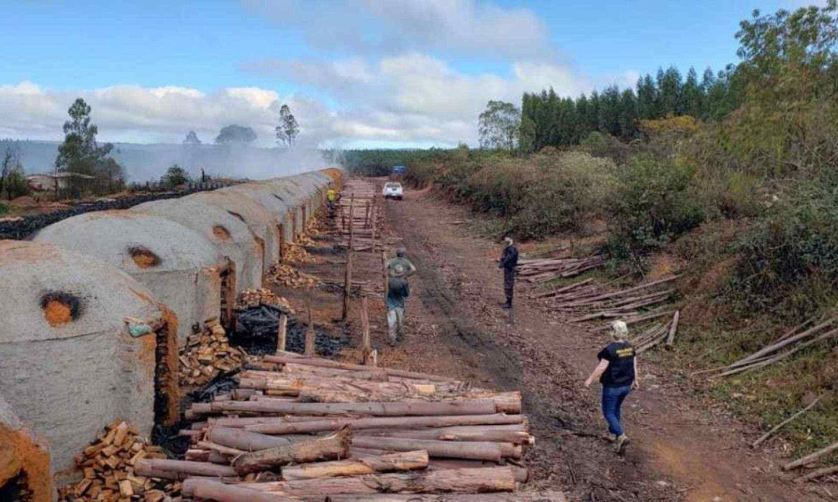 Imagem de uma carvoaria no interior de Minas Gerais -  (crédito: Grupo Móvel/Secretaria de Inspeção do Trabalho)