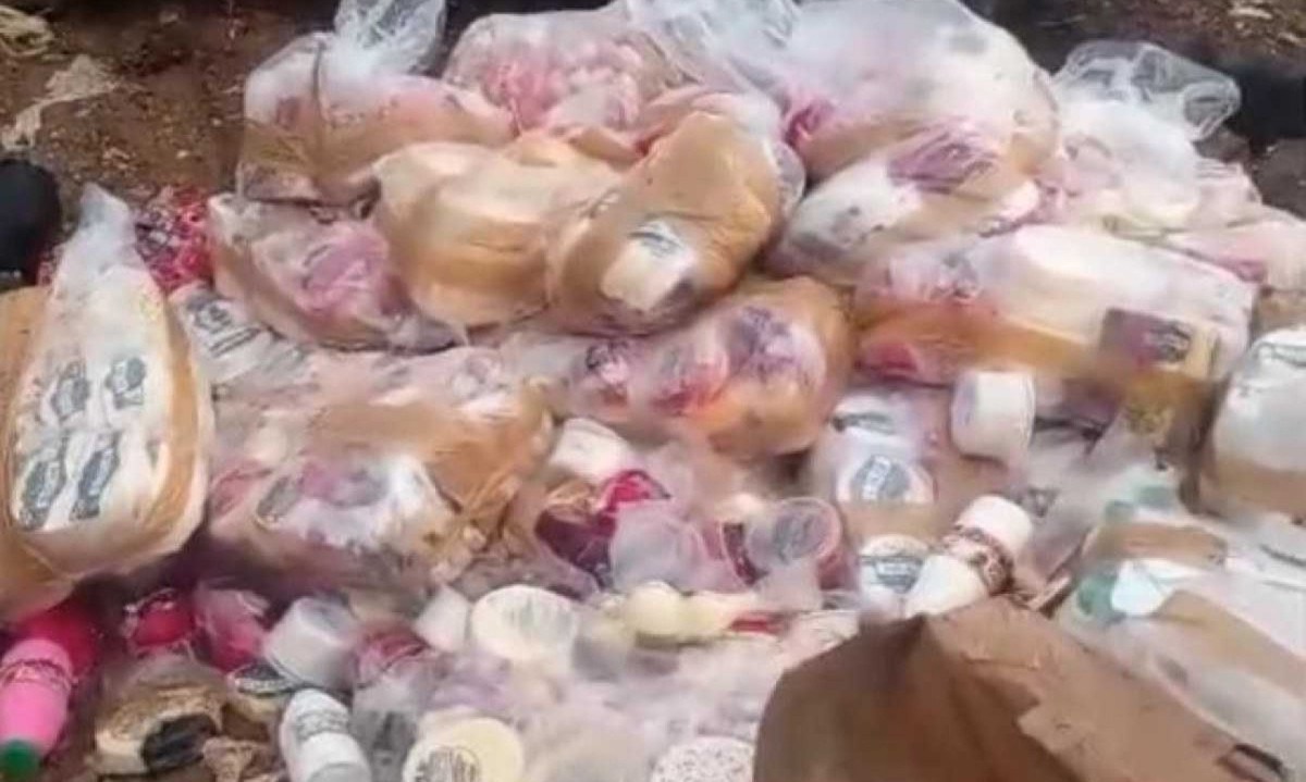 Queijos e iogurtes foram apreendidos durante fiscaliza&ccedil;&atilde;o do Instituto Mineiro de Agropecu&aacute;ria (IMA), em Bom Despacho -  (crédito: Redes Sociais / Reprodu&ccedil;&atilde;o)