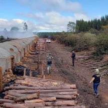 Trabalhadores resgatados receberão mais de R$ 260 mil por danos morais - Grupo Móvel/Secretaria de Inspeção do Trabalho