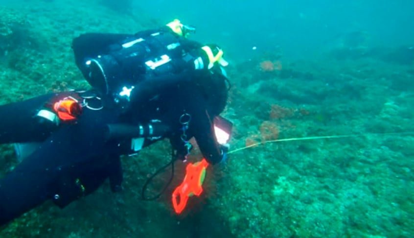 A descoberta foi feita por biólogos marinhos e anunciada no Science Channel. Um dos pesquisadores declarou que a primeira parte do trabalho, analisando registros em bibliotecas, foi demorada, mas fundamental para informações que comprovassem o achado. 