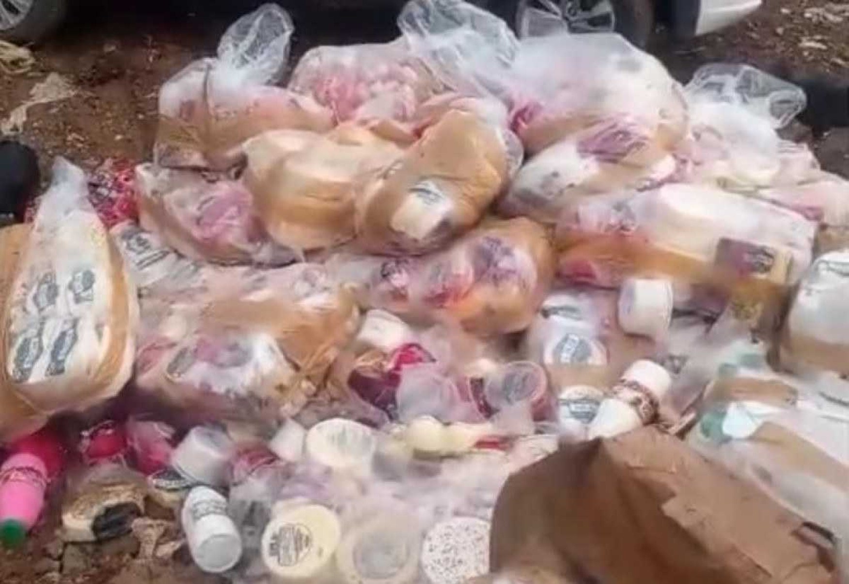MG: tonelada de queijos e iogurtes impróprios para consumo é apreendida