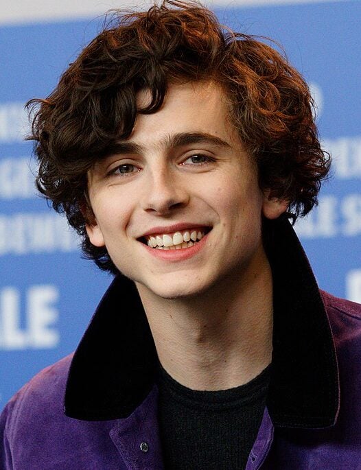 Timothée Hal Chalamet nasceu em 27 de dezembro de 1995 em Nova York. Nos últimos anos, o ator vem conquistando Hollywood com doses de talento, carisma e beleza.