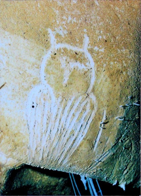 A coruja é frequentemente associada à sabedoria em diversas culturas, especialmente na mitologia grega, onde Atena, a deusa da sabedoria, era frequentemente representada acompanhada por uma coruja. 