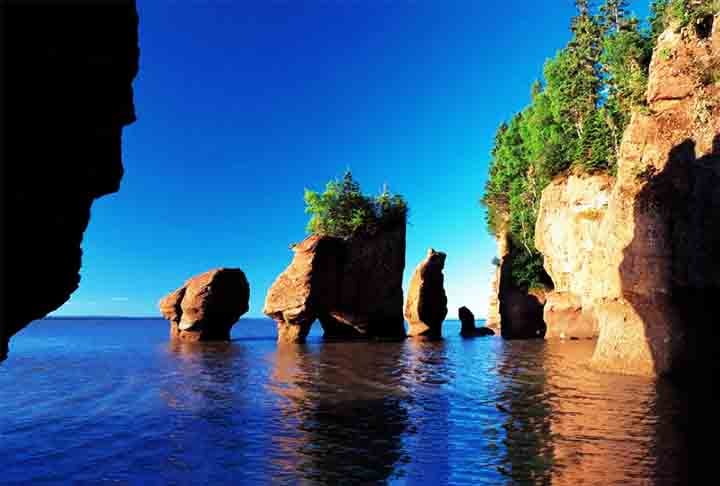 Baía de Fundy, Canadá: Conhecida por ter as maiores marés do mundo, a Baía de Fundy é rica em biodiversidade e abriga várias espécies de baleias.