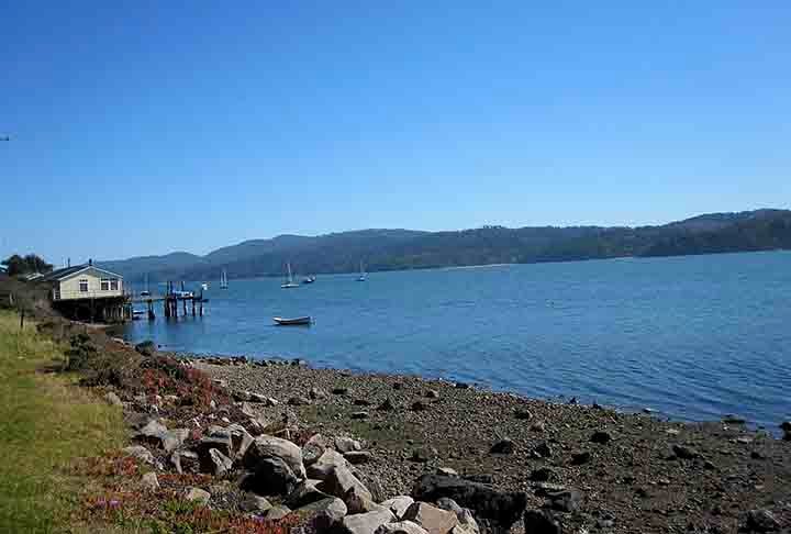 Baía de Tamales, EUA: Conhecida por sua biodiversidade, essa baía é um importante local de pesca e recreação na Califórnia.