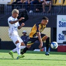Tigre podia deixar o acesso encaminhado nesta rodada, mas com o empate depende que os adversários não pontuem -  (crédito: Foto: Higor Basso / Novorizontino)
