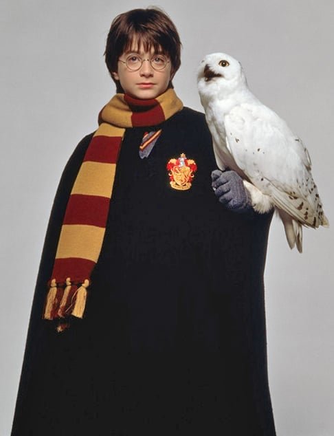 Em uma das histórias mais famosas da cultura pop, uma coruja ganhou popularidade entre os fãs: a Hedwig.  Ela é a coruja de estimação de Harry Potter, o protagonista da série de livros e filmes de mesmo nome.