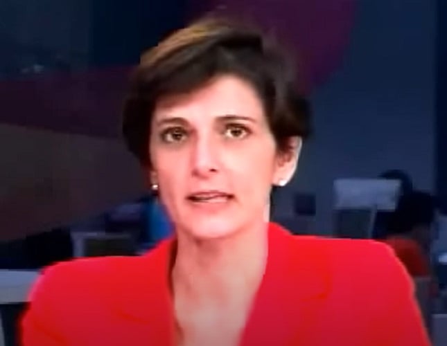 Em 1996, Bonner teve a oportunidade de assumir a bancada do Jornal Nacional, o principal telejornal da Globo, ao lado de Lillian Witte Fibe.