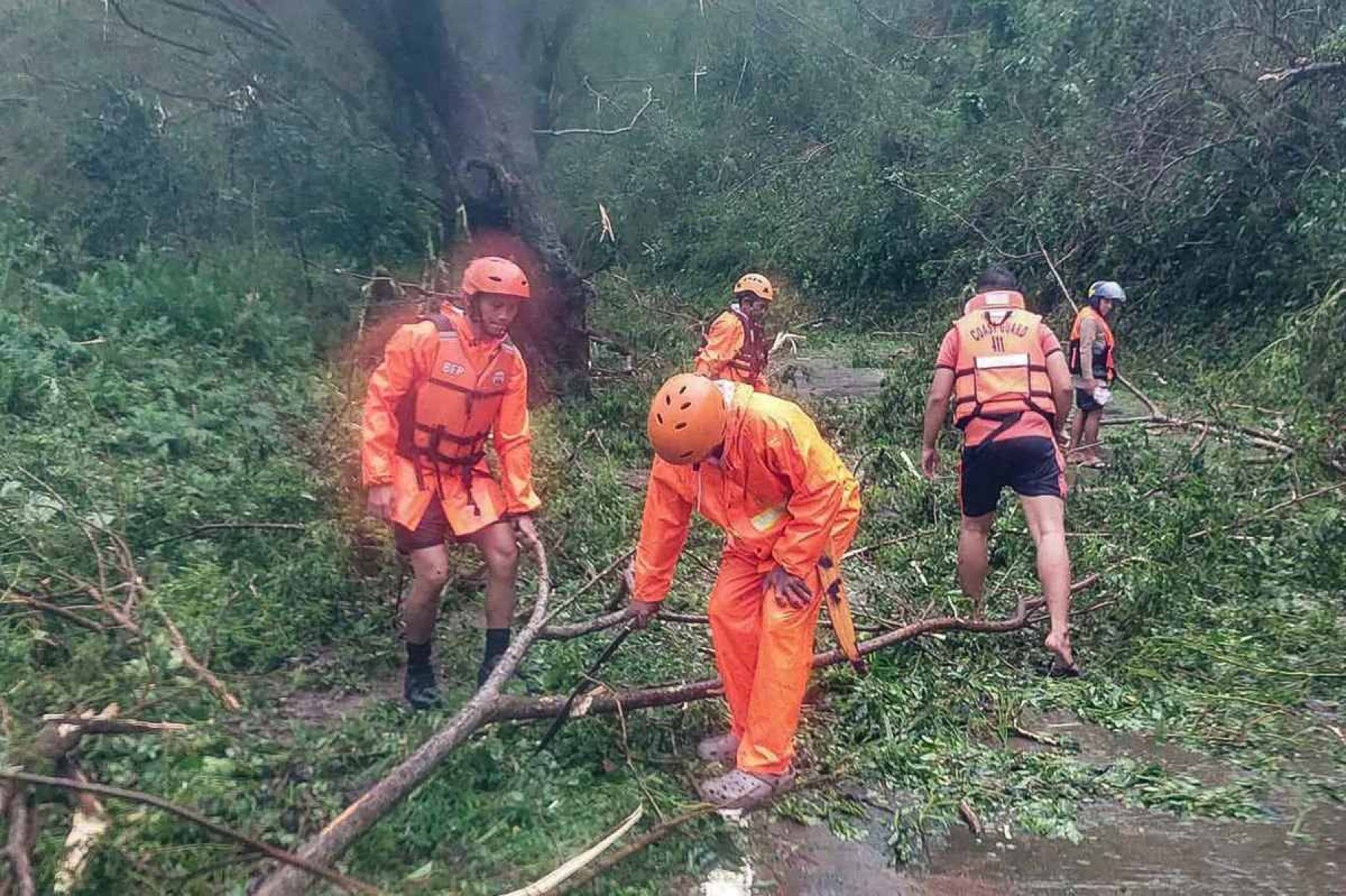  This handout photograph taken and released on November 17, 2024 by the Philippine Coast Guard (PCG) shows coast guard personnel clearing a highway of fallen trees in Gigmoto town, Catanduanes province, south of Manila, after super Typhoon Man-yi hit the province overnight. Typhoon Man-yi lashed the Philippines' most populous island on November 17, with the national weather service warning of flooding, landslides and huge waves as the storm sweeps across the archipelago nation. (Photo by Philippine Coast Guard (PCG) / AFP) / -----EDITORS NOTE --- RESTRICTED TO EDITORIAL USE - MANDATORY CREDIT 