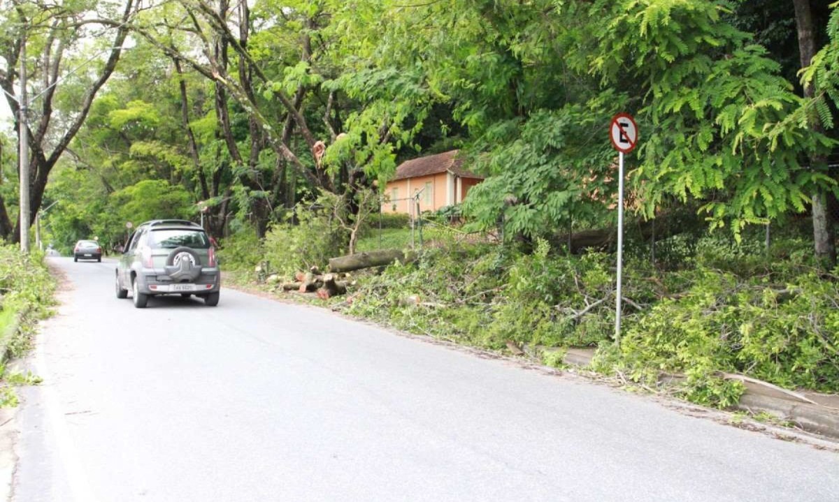 O tronco e os galhos da árvore interditam o passeio da Rua Gustavo da Silveira, Bairro Santa Inês, Região Leste de BH -  (crédito: Edesio Ferreira/EM/D.A Press. Brasil.)