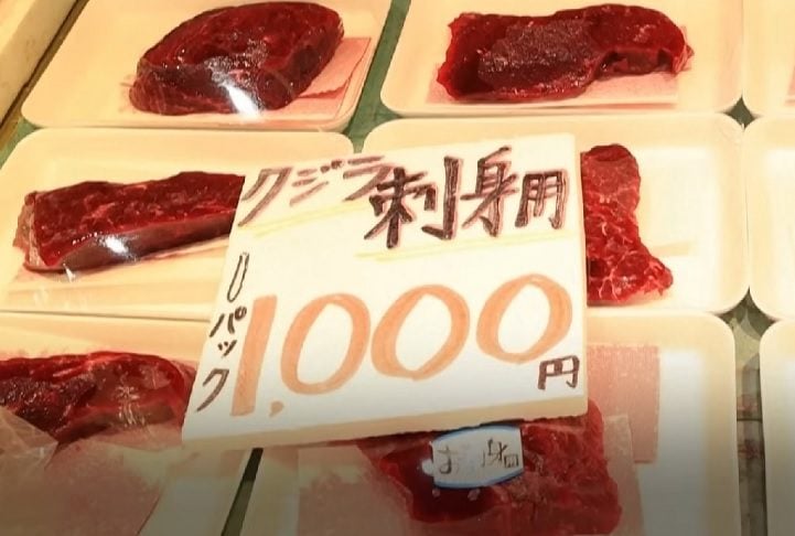 A caça de baleias existe há séculos no Japão. Especificamente após a Segunda Guerra Mundial, a carne desse animal se tornou uma importante fonte de proteína para a população.