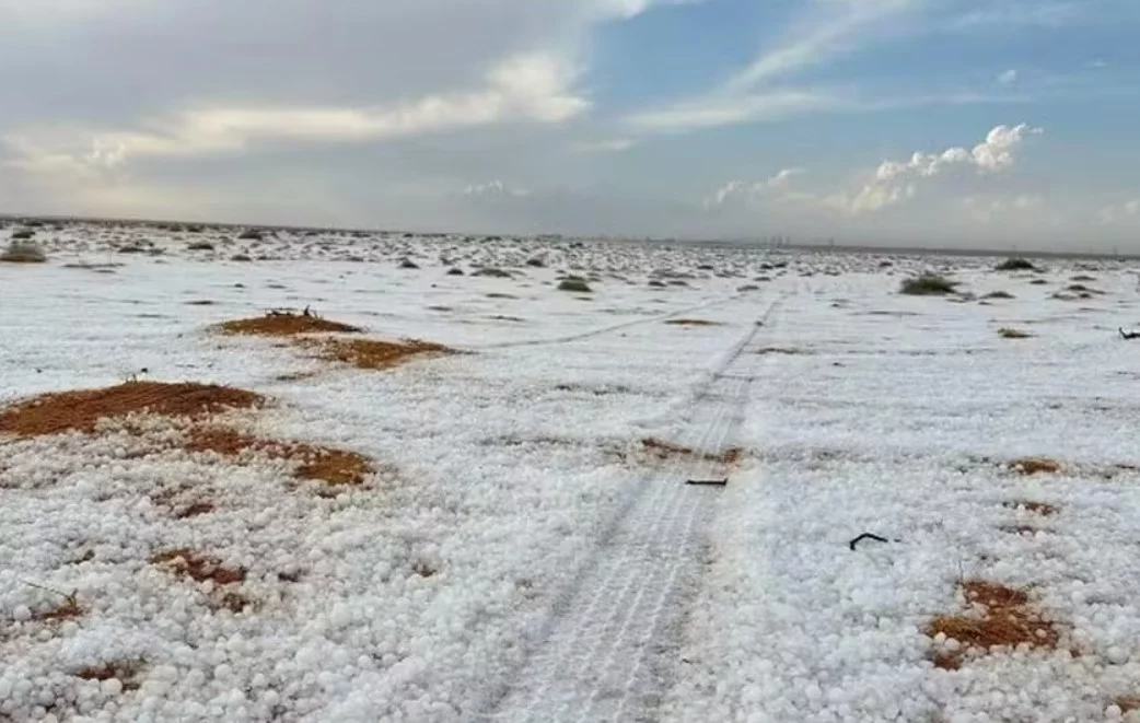 Mudanças climáticas deixam desertos irreconhecíveis - Reprodução/X