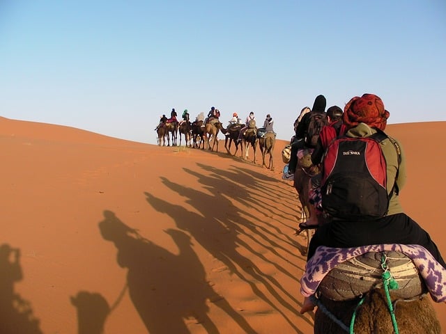 3º Deserto do Saara (9.100.100 km²) - Maior deserto quente do mundo, com a imagem típica do que as pessoas veem como deserto, seco e arenoso. O Saara abrange 11 países: Marrocos, Argélia, Tunísia, Líbia, Egito, Sudão, Chade, Níger, Mali, Mauritânia e Saara Ocidental.