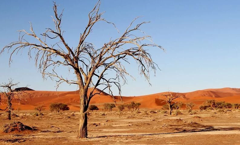  6º Deserto do Kalahari  (930.000 km²) -Abrange partes de Angola, Botsuana, Namíbia e África do Sul. Fica numa depressão para onde flui a bacia do Calaári. Tem dunas avermelhadas e vegetação xerófila (adaptada à aridez).