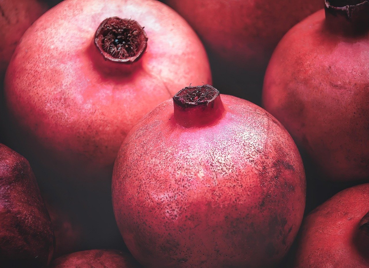 Romã (Punica granatum) - Nativa do Irã e do norte da Índia,  foi cultivada por milhares de anos em toda a bacia do Mediterrâneo. Típica de climas subtropicais e temperados, com verões quentes e secos e invernos moderados. É resistente a solos pobres e secos, mas cresce melhor em solos bem drenados e ensolarados.