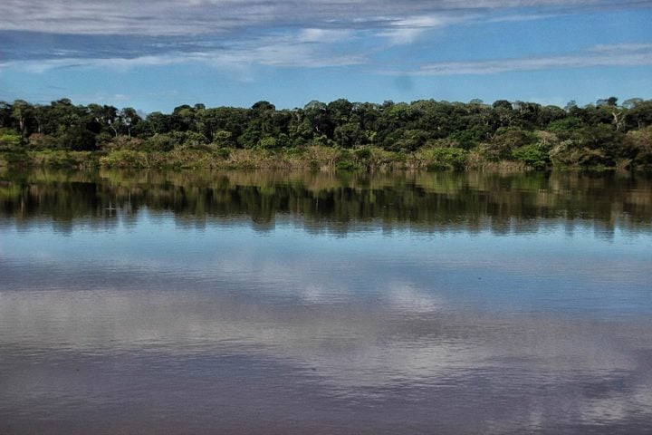 Contudo, ao visitar as praias da Amazônia, é importante lembrar que a região é o lar de uma variedade de animais selvagens, incluindo insetos, cobras e jacarés, o que inspira cuidados.